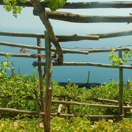 Casa Martina Villa Amalfi Bagian luar foto