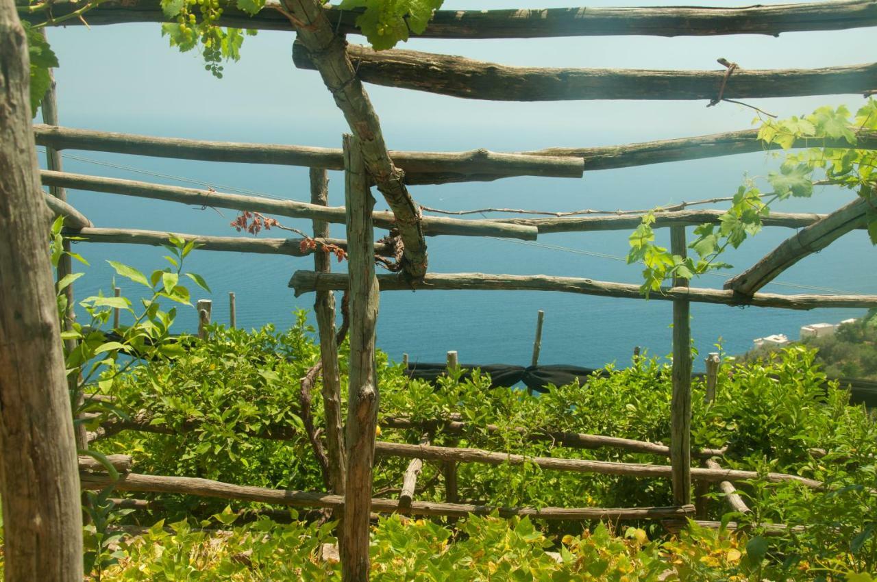 Casa Martina Villa Amalfi Bagian luar foto